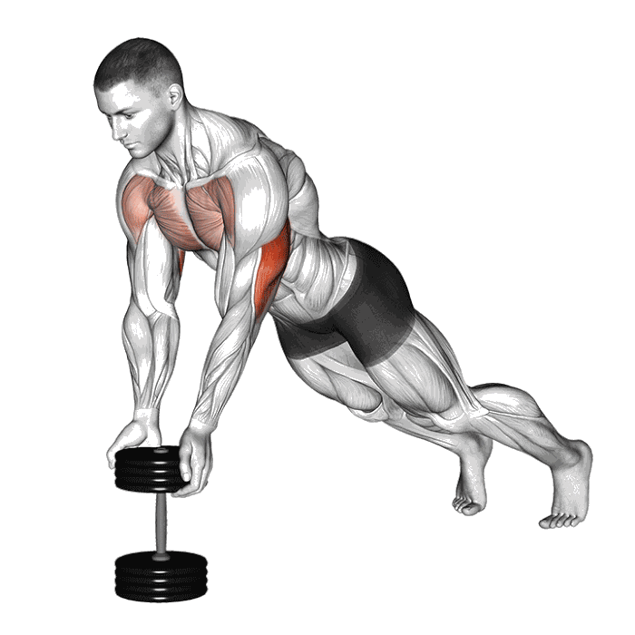 Animation Pompe serrée avec haltère