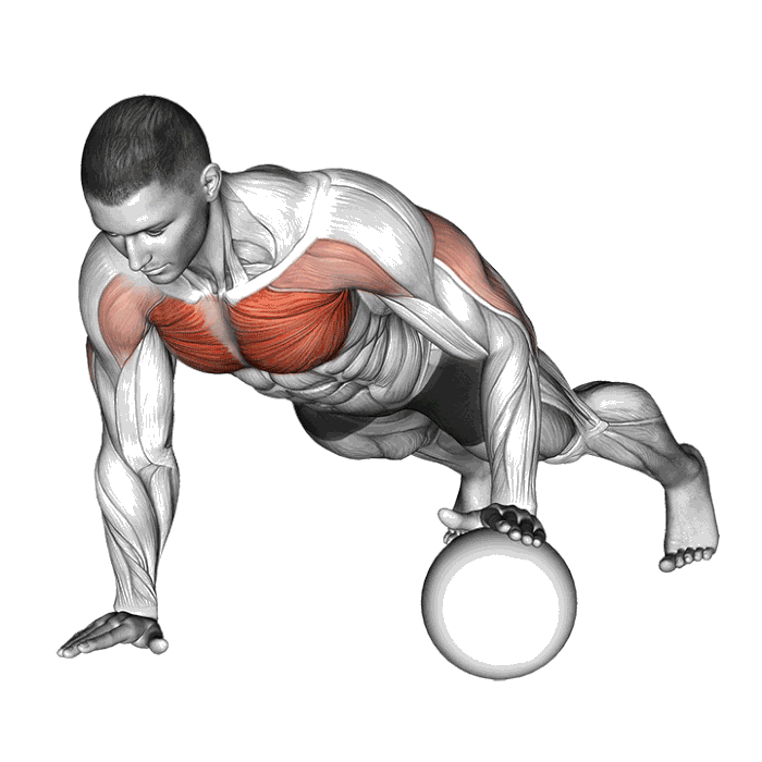 Animation Pompe sur medicine ball