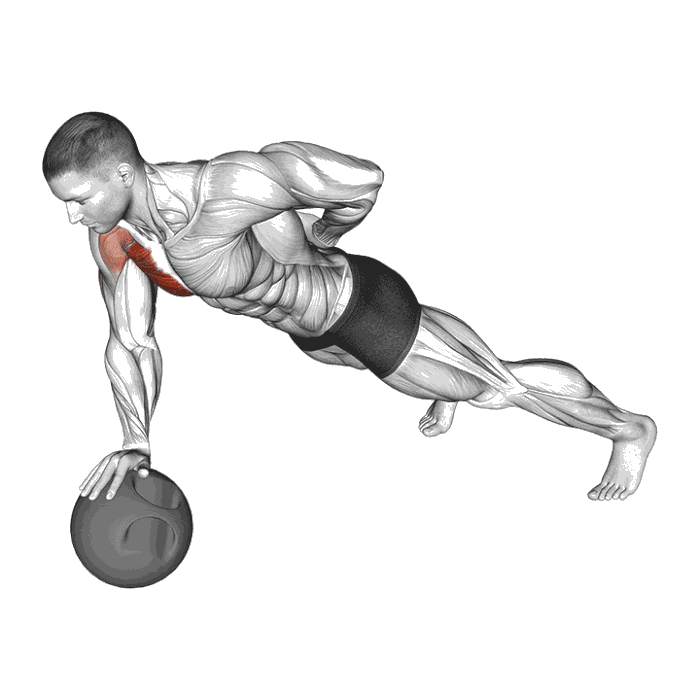 Animation Pompe sur un bras avec medicine ball