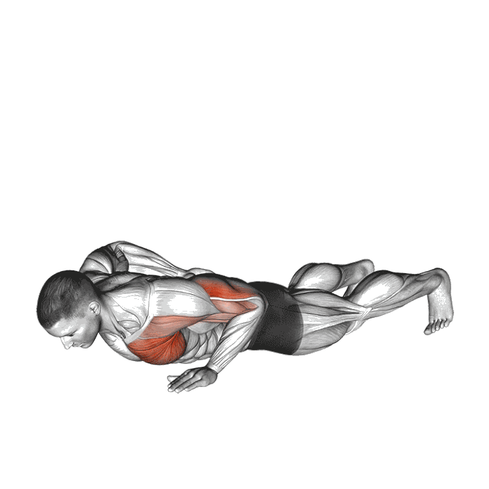 Animation Pompe sur un bras