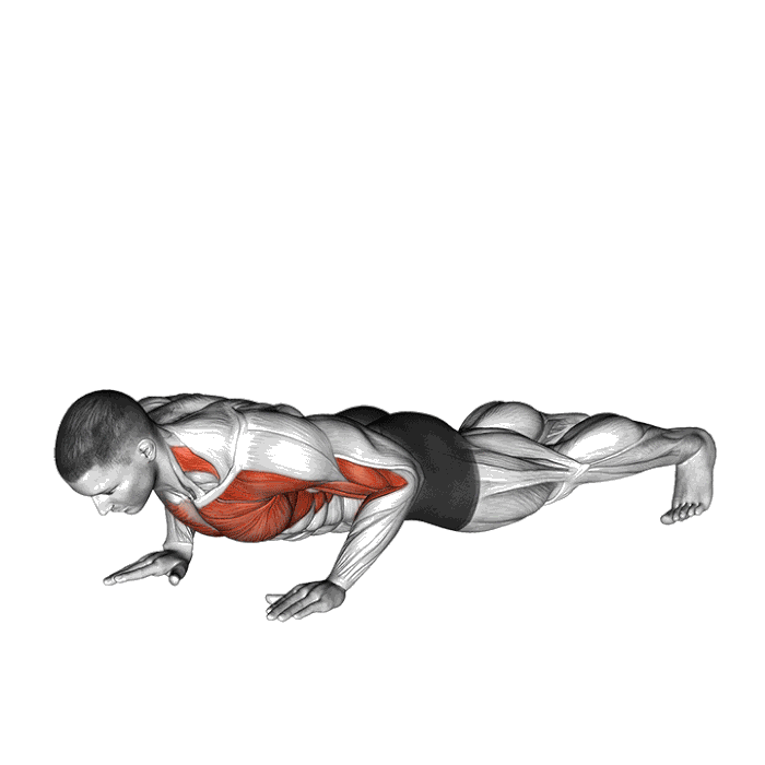 Animation Pompe tape pectoraux unilatéral