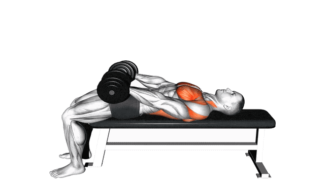 Animation Tour du monde