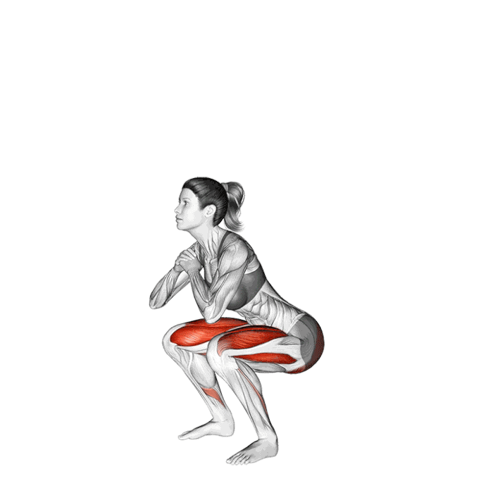Animation Air Squat