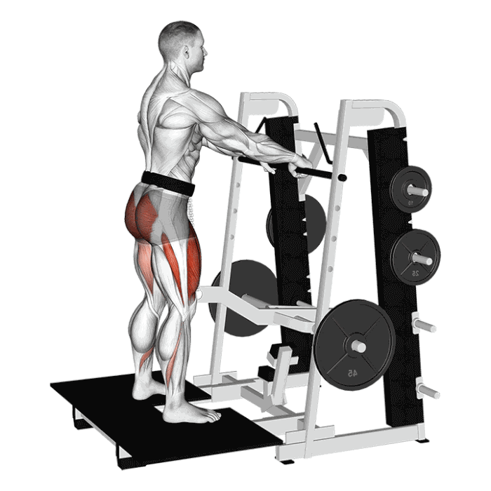 Animation Belt Squat