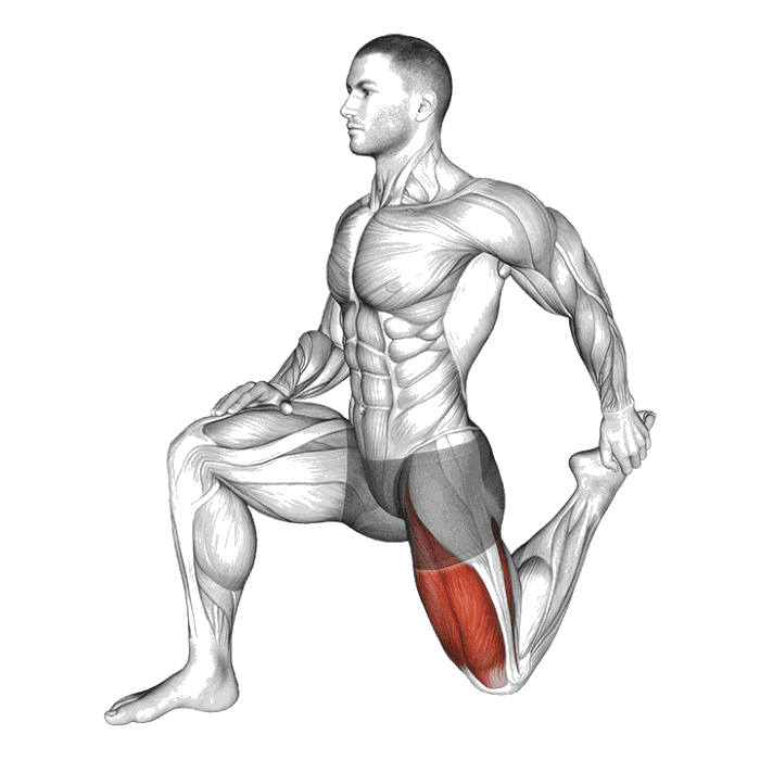 Animation Étirement quadriceps en fente à genoux