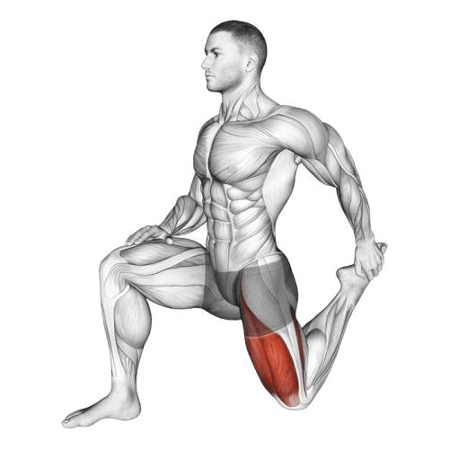 Étirement quadriceps en fente à genoux