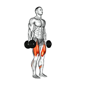 Fente avant (Halteres)