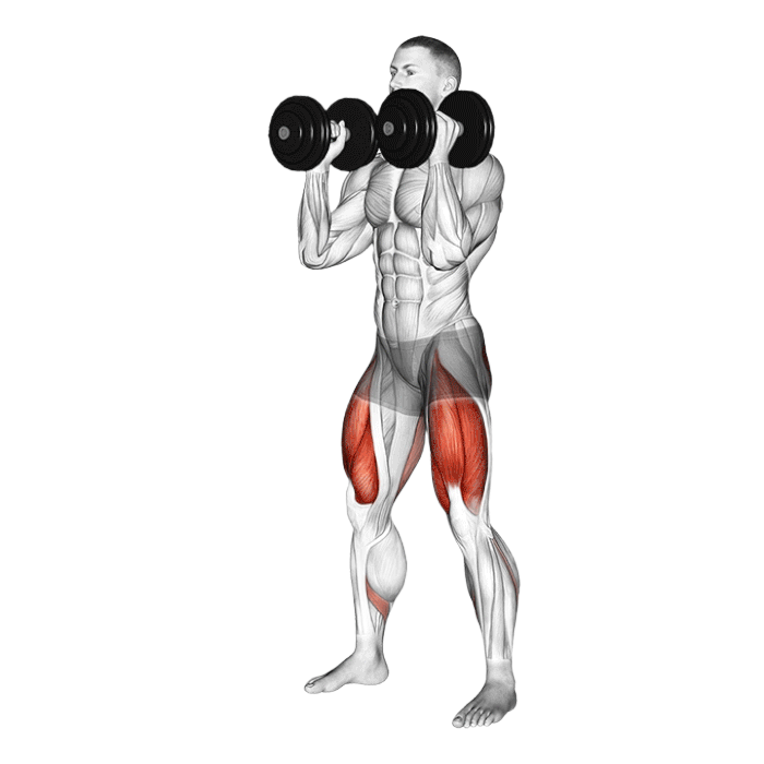 Front Squat avec haltères