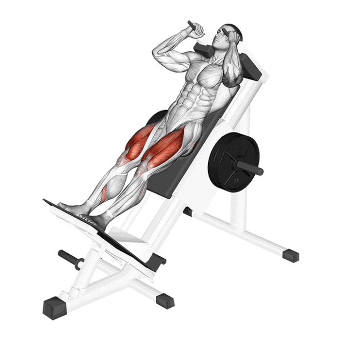 Animation Hack Squat (Machine)