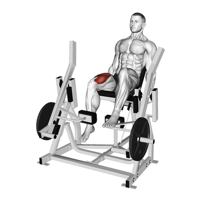 Animation Leg extension iso-latéral unilatéral (Machine)