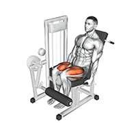 Leg extension (Machine)