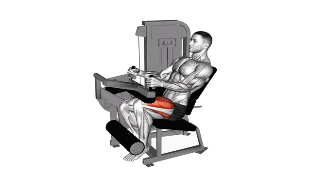Animation Leg extension unilateral (Machine)