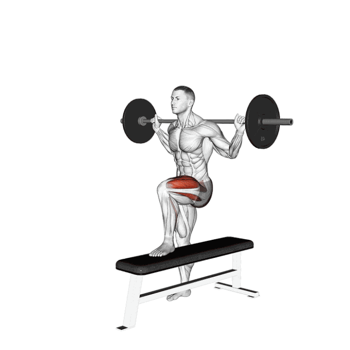 Montées sur banc latérales avec barre