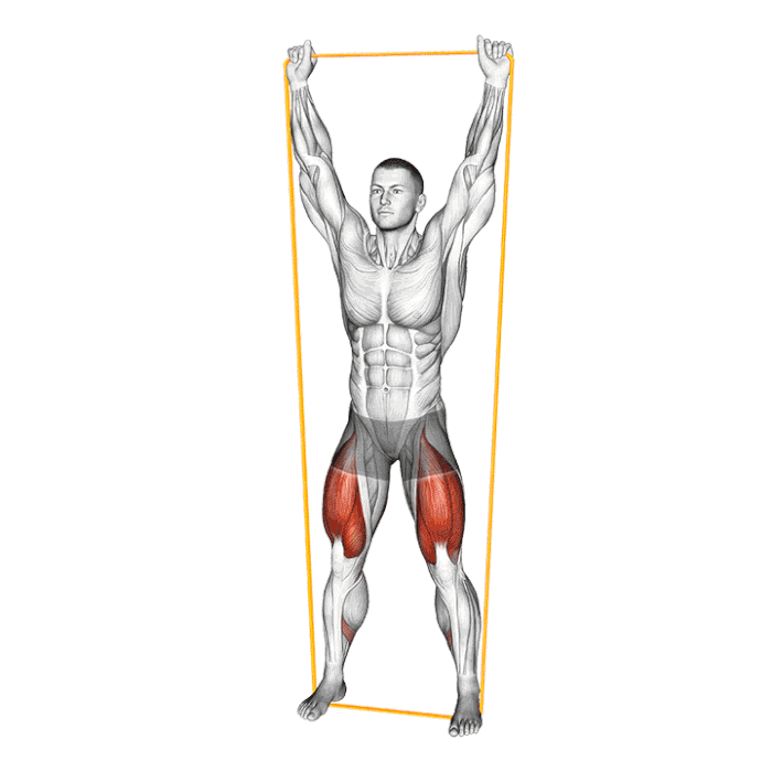 Animation Overhead Squat (Élastique)
