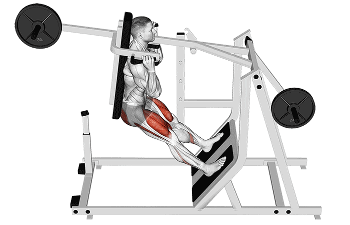 Animation Pendulum Squat