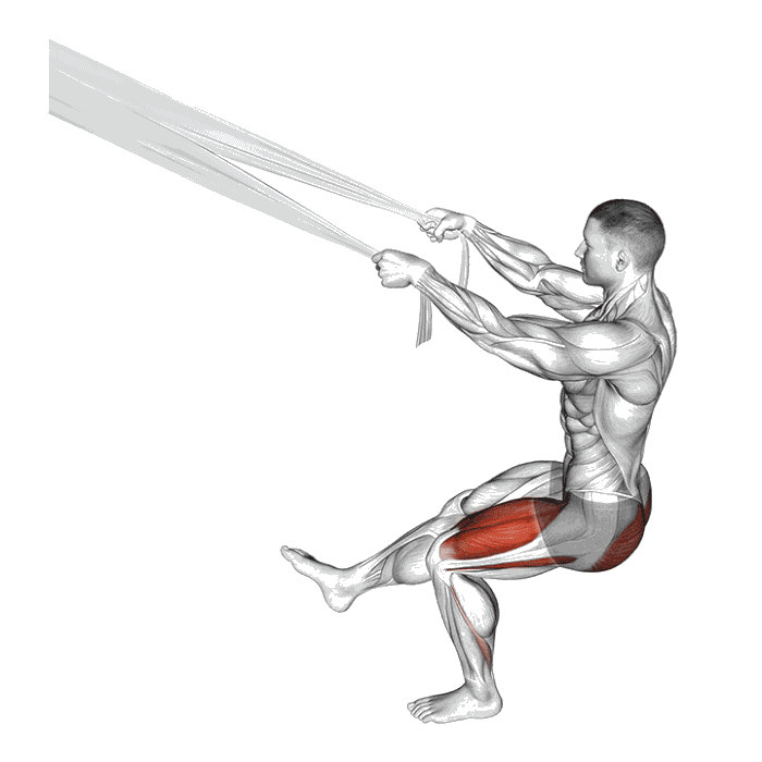 Animation Pistol Squat