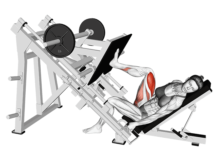 Animation Presse à cuisse sur le côté