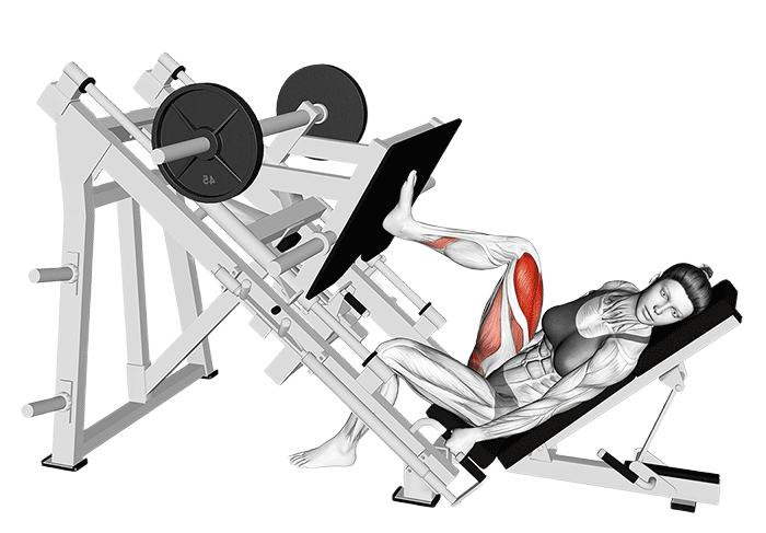 Presse à cuisse sur le côté