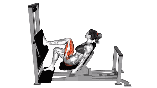 Animation Presse a cuisse unilateral (Machine)