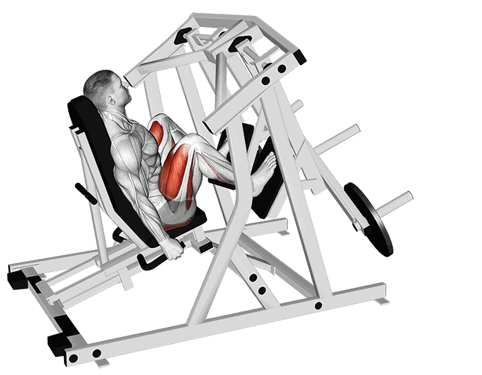 Presse à cuisses iso-latérale