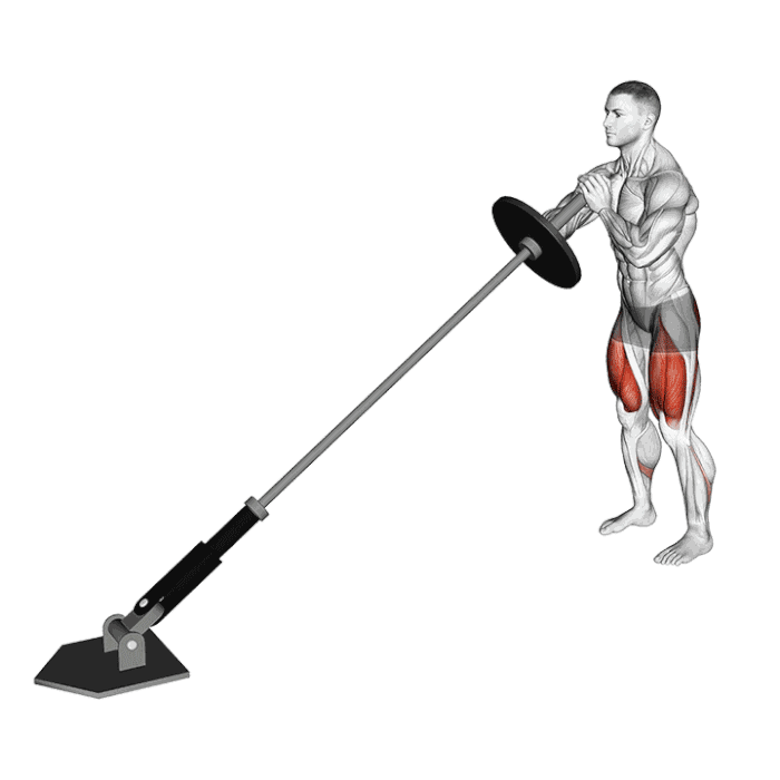 Animation Squat avec landmine