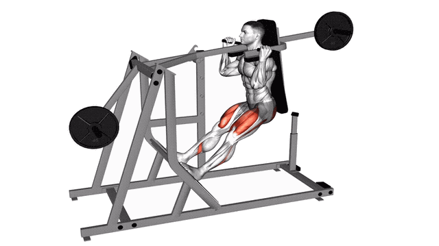 Animation Squat pendule (Machine)