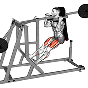 Squat pendule (Machine)