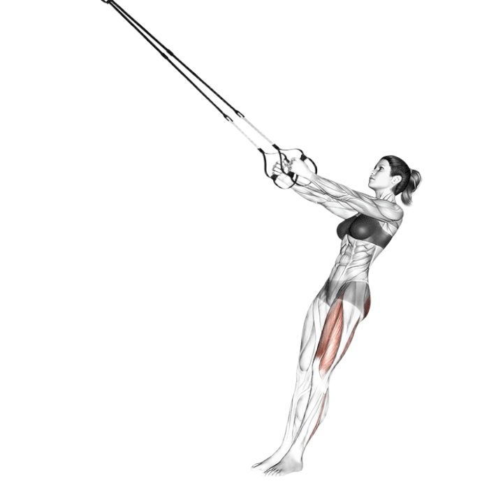 Squat pistol (Suspension)