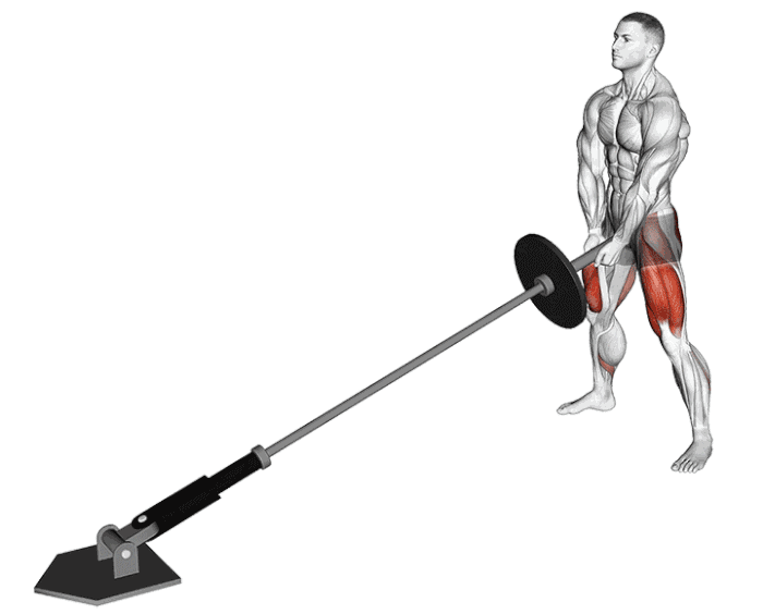 Squat sumo à la landmine