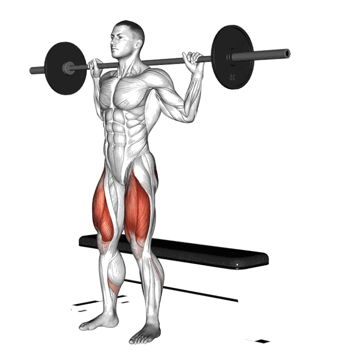 Animation Squat sur banc