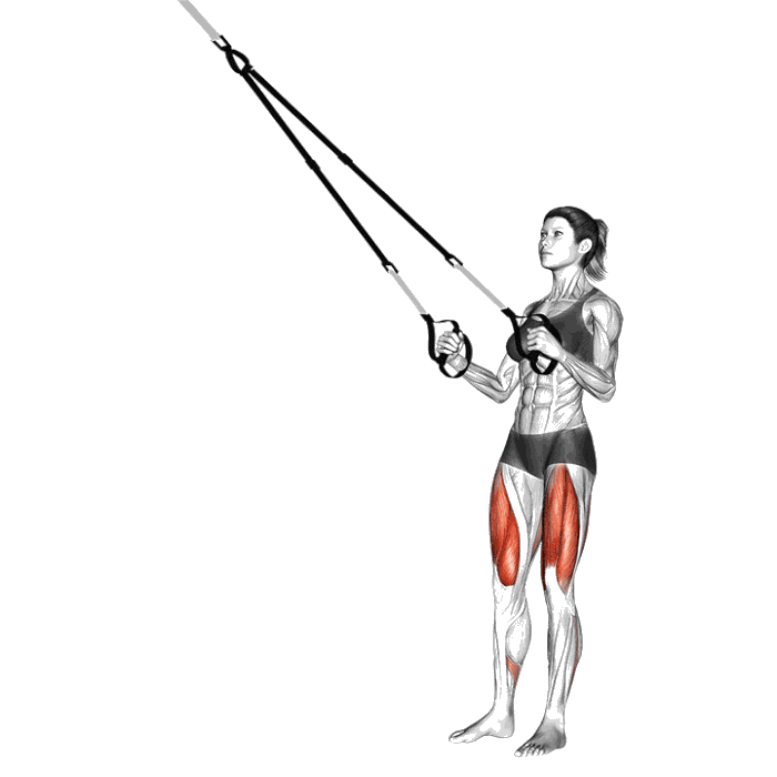 Animation Squat (Suspension)