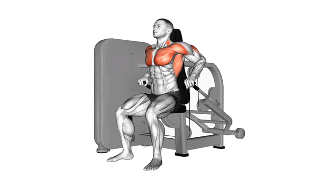 Animation Dips Assis (Machine)