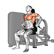 Dips Assis (Machine)