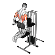 Dips triceps (Assiste)