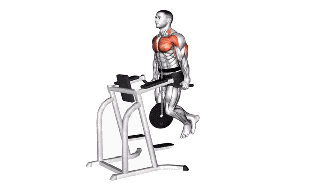 Animation Dips triceps (Leste)