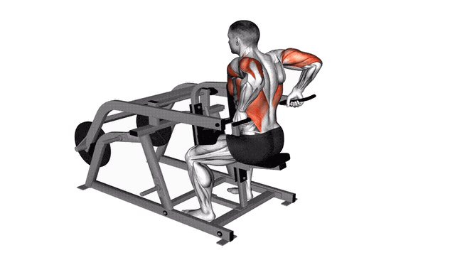 Animation Extension triceps assis (Machine)