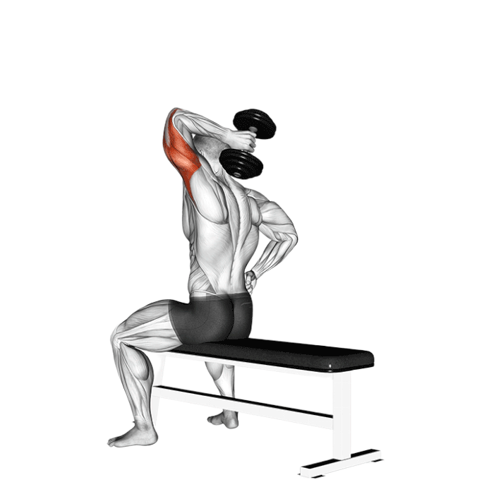 Extension triceps assis un bras (Haltères)