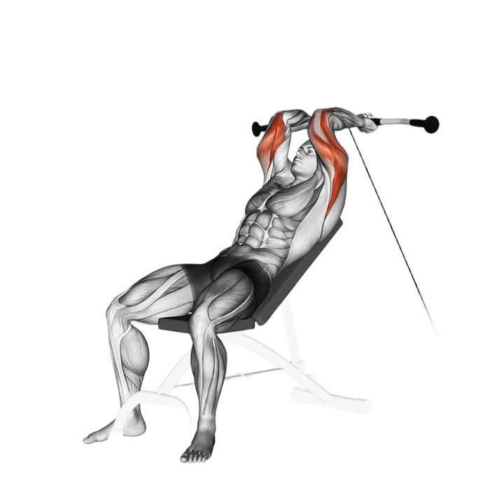 Extension triceps banc incline (Poulie)