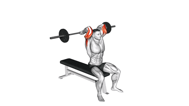 Animation Extension triceps (Barre)