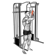 Extension triceps derriere la tete unilateral (Poulie)