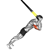 Extension triceps (Suspension)