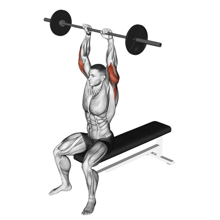 Extension verticale assis (Barre)