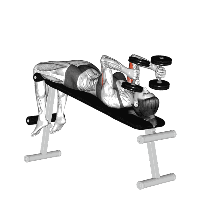 Animation Extensions triceps décline haltères