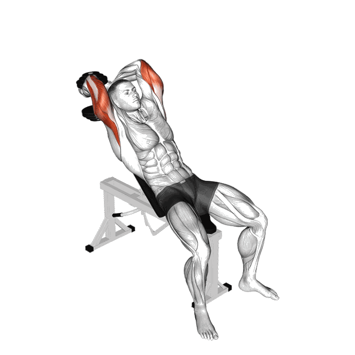 Animation Extensions verticales à deux mains avec haltère