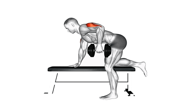 Animation Kickback triceps (Halteres)