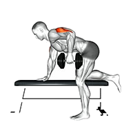 Kickback triceps (Halteres)