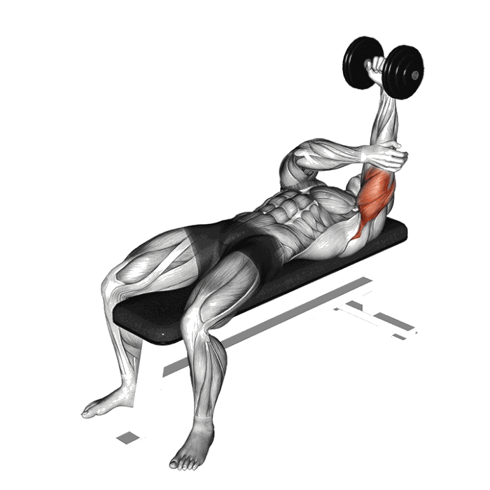 Animation Tate press