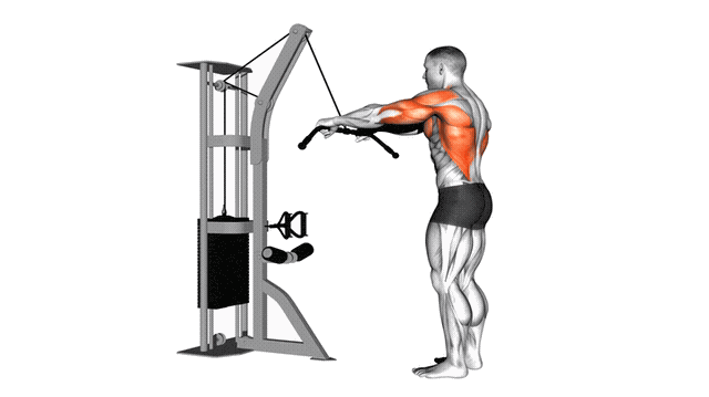 Animation Tirage bras tendu (Poulie)